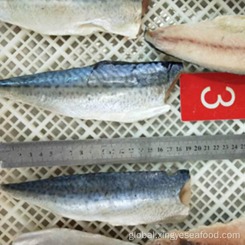 China IQF Fozen Mackerel Fish Fillets Manufactory